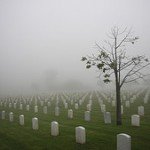 death tree