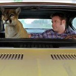 cougar in car
